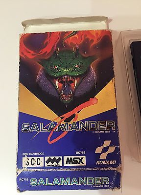 Salamander